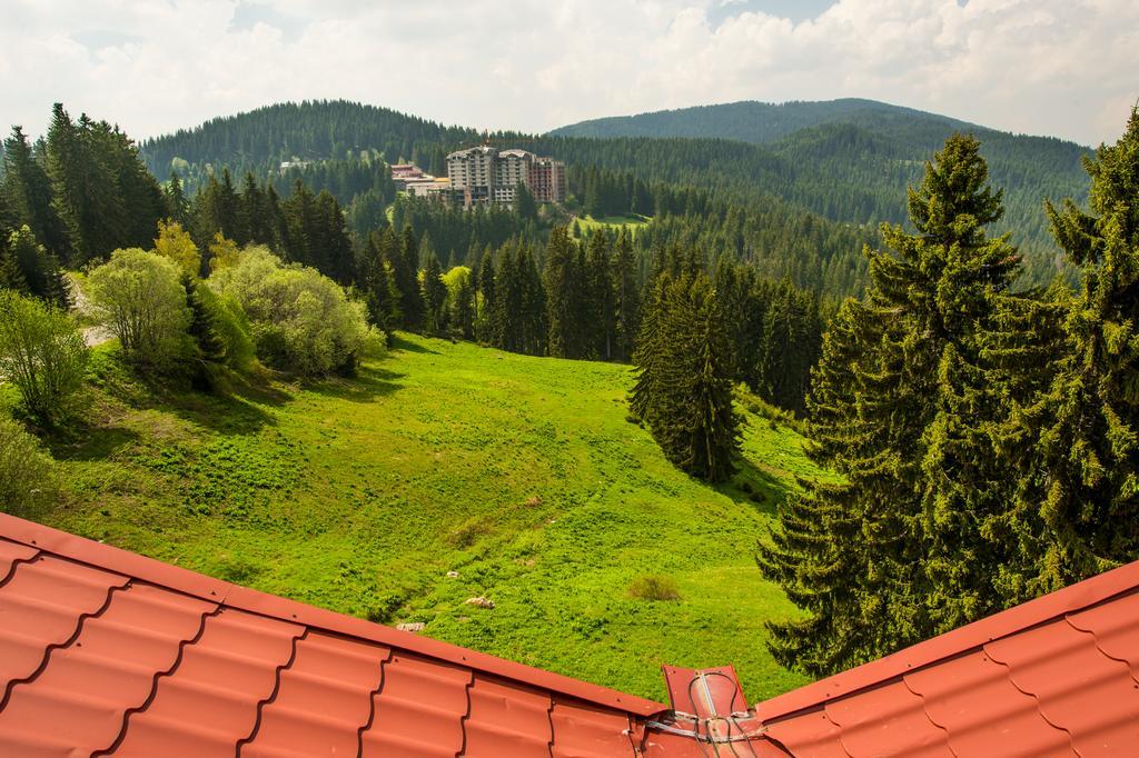 Snezhanka Hotel Pamporovo Bagian luar foto